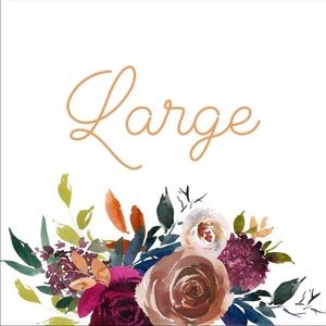 Victoria’s Secret / PINK Panties (L)